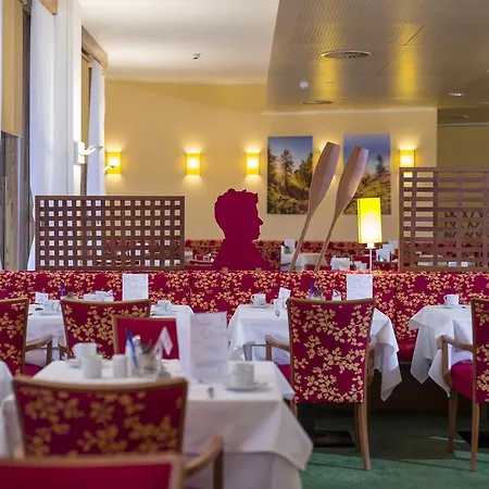 Отель Vivea Gesundheitshotel Bad Goisern Бад Гоисерн